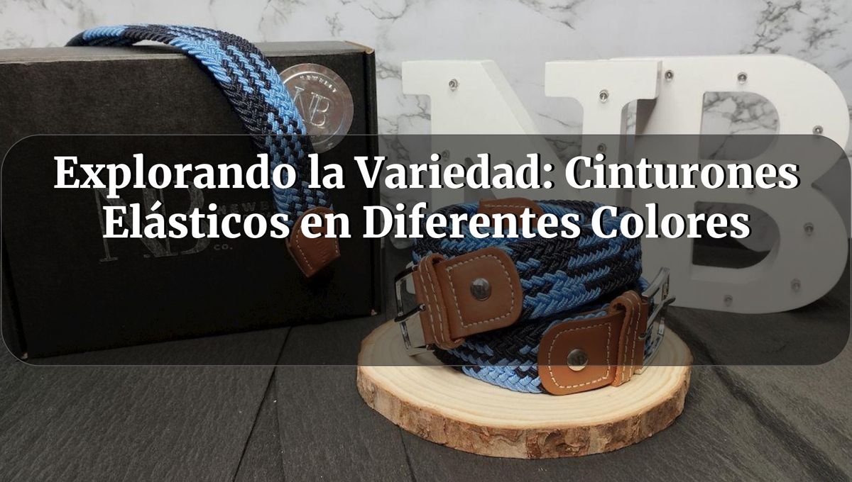 explorando la variedad cinturones elasticos en diferentes colores